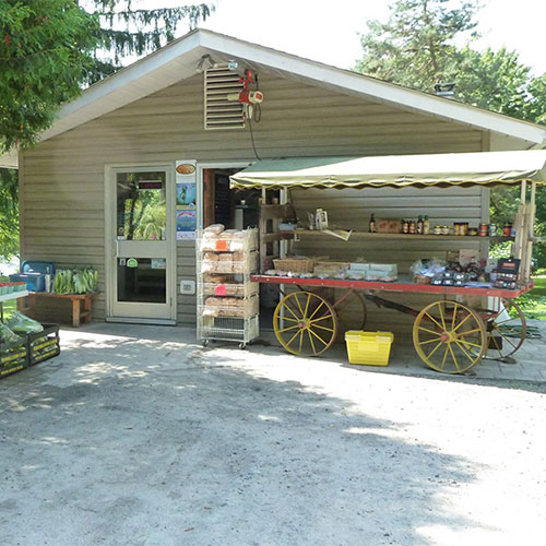 Stephen’s Butcher Shop