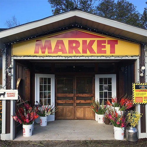 Taylor Farms